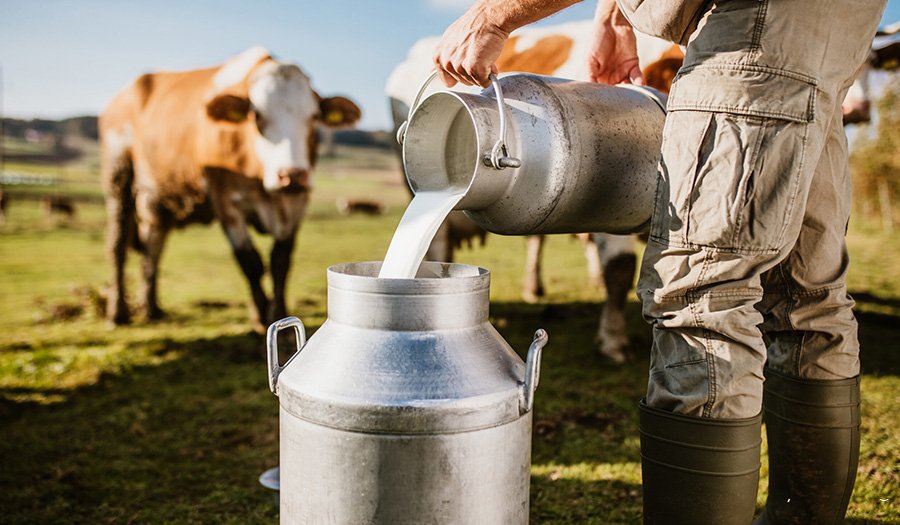 خط تولید لبنیات به چه تجهیزاتی نیاز دارد؟